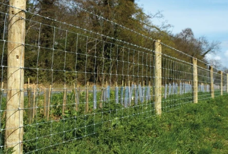 Rouleau de grillage noué pour élevage et clôtures agricoles